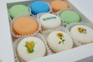 Atelier Cortez - cutie 9 macarons cu logo Biocrop - Copy-min